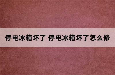 停电冰箱坏了 停电冰箱坏了怎么修